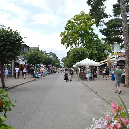 Dom Jan * ポビエロボ