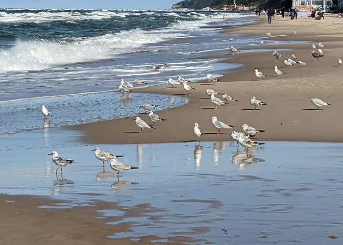 Prázdninový dům Dom Jan *